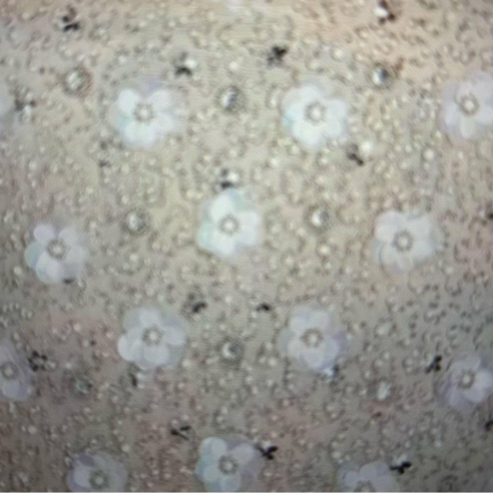 Adrianna Papell Ivory Floral Dress